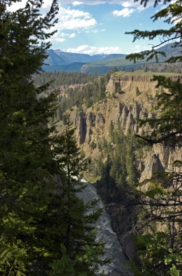 yellowstone-2