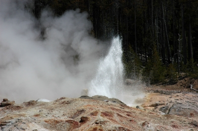 yellowstone-steamboatgeyser